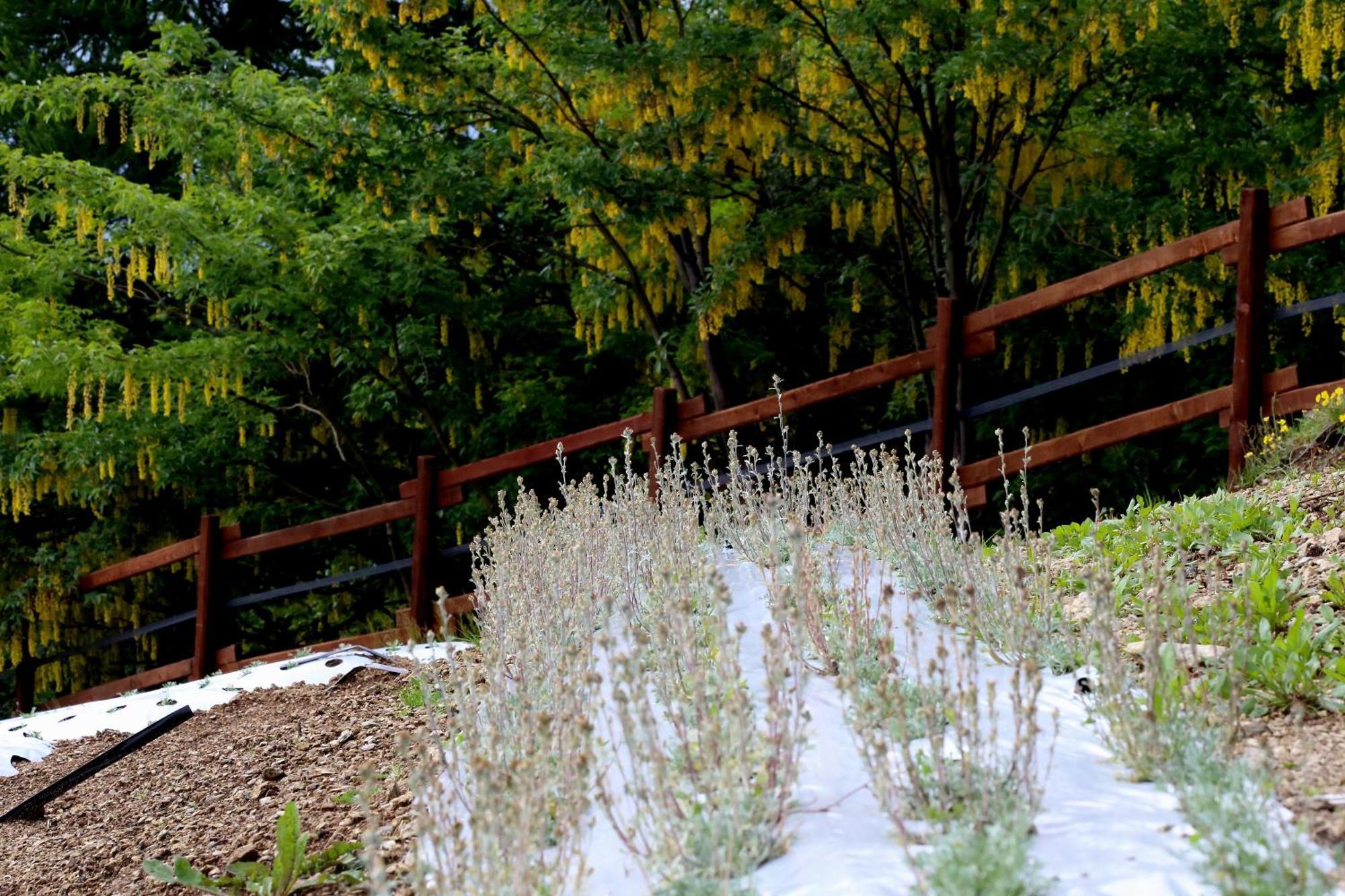 Agriturismo A Nostro Mizoun Ostana المظهر الخارجي الصورة